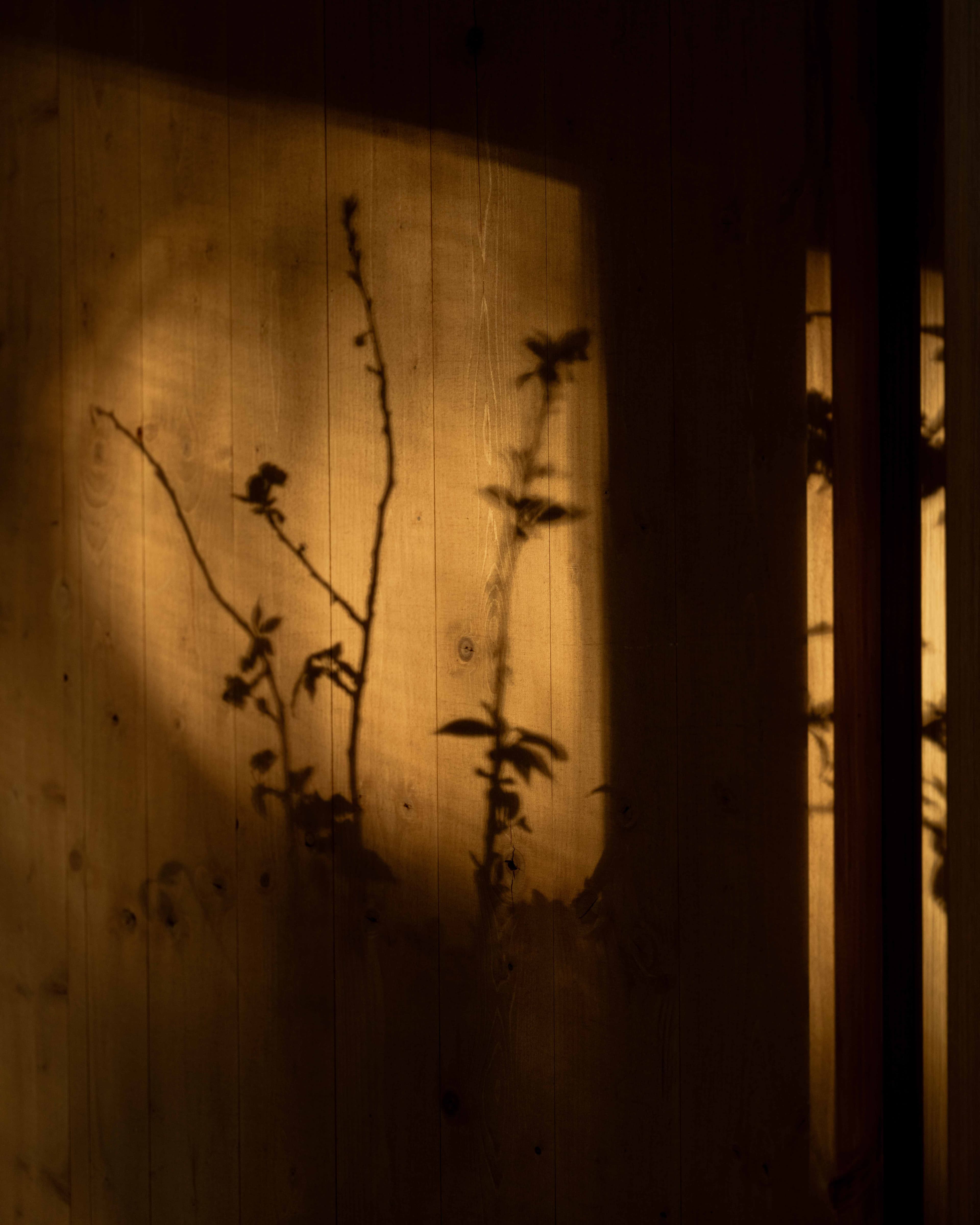 The Overlook interior, The Overlook in McCall, Idaho — photograph 4 of 4