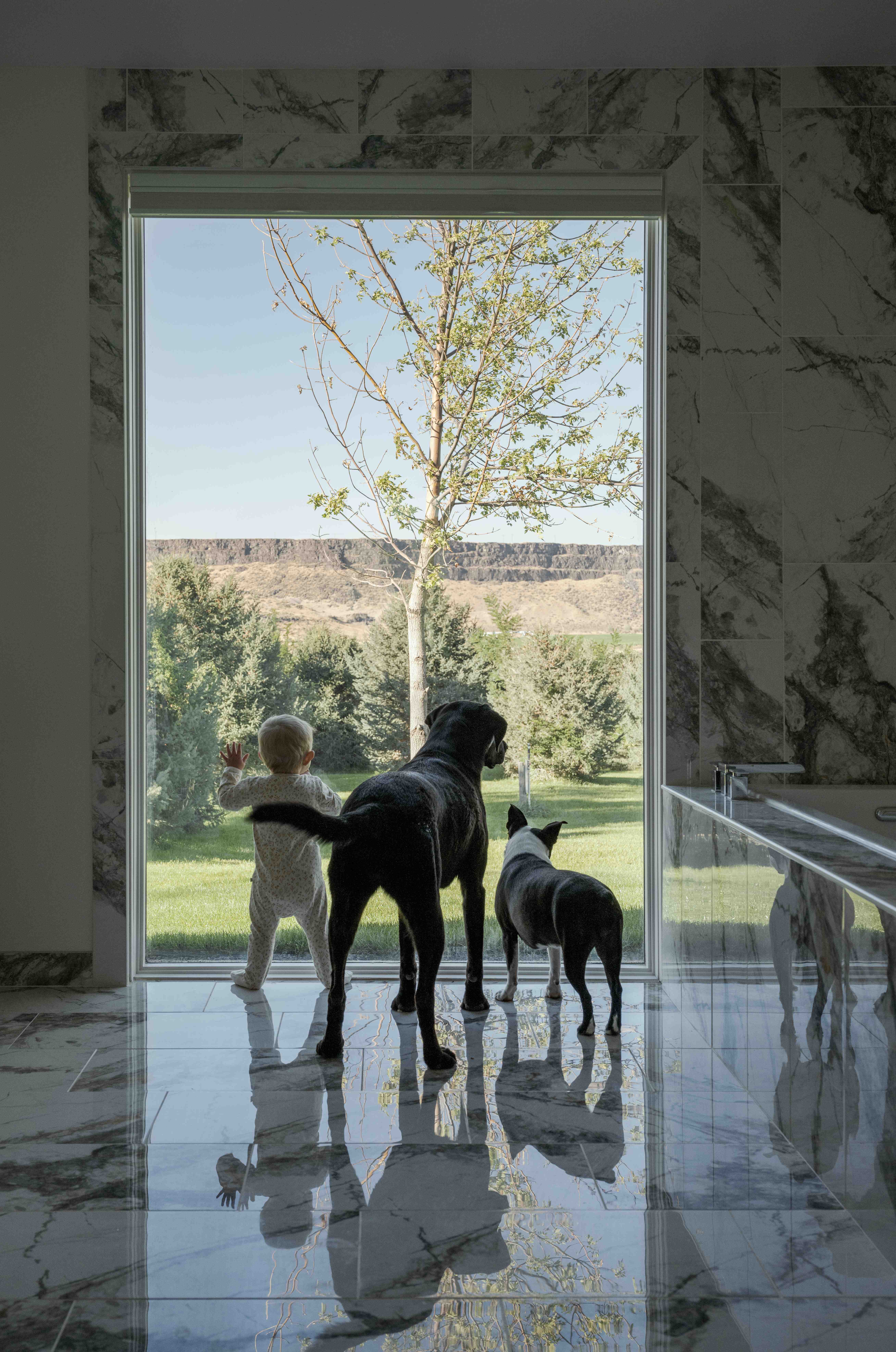 Toddler and dogs gazing out picture window in marble-clad bathroom
