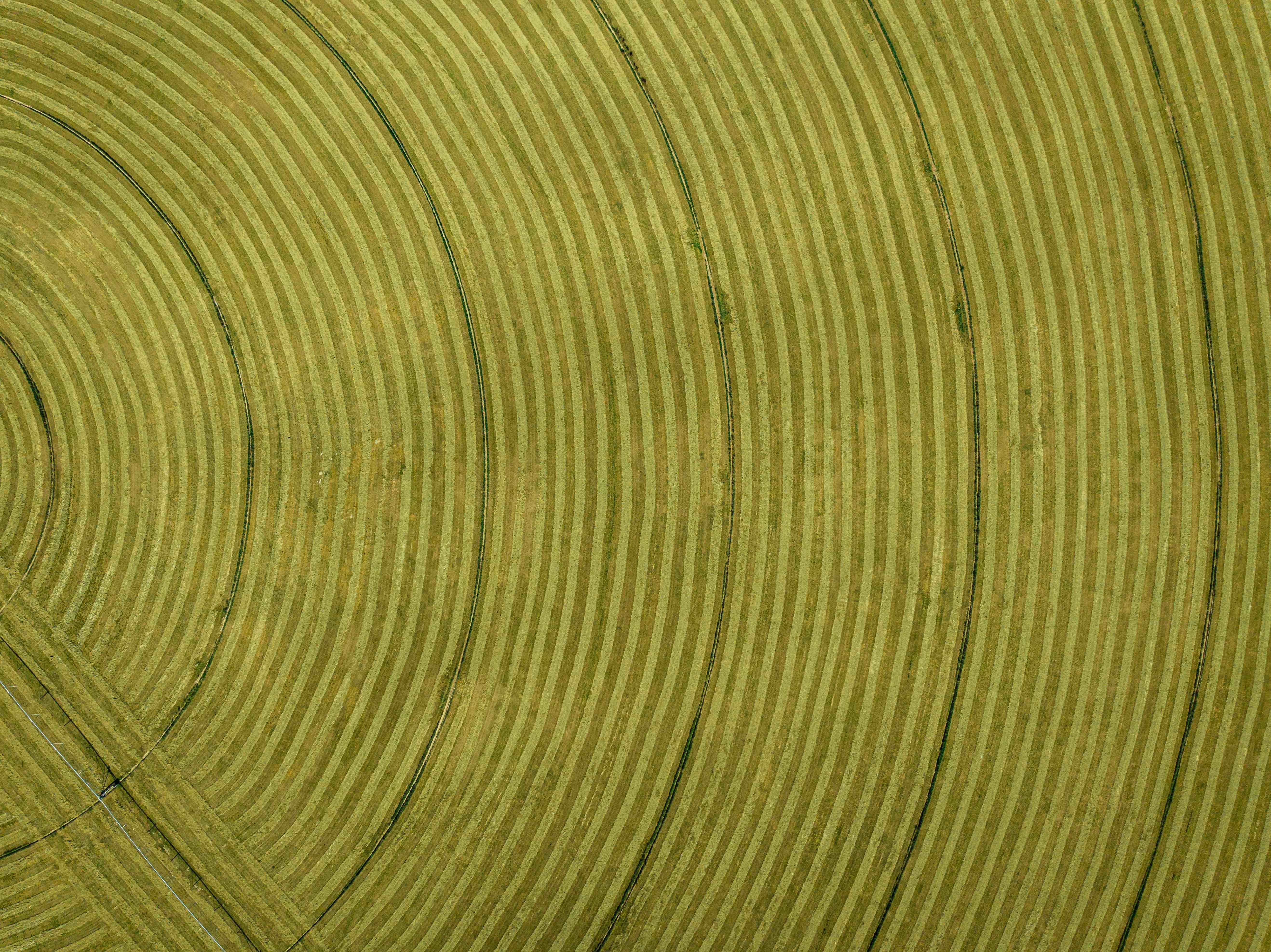 Aerial view of agricultural field with circular irrigation patterns creating curved lines